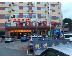 龙悦大酒店